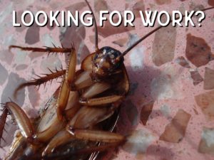 pest careers