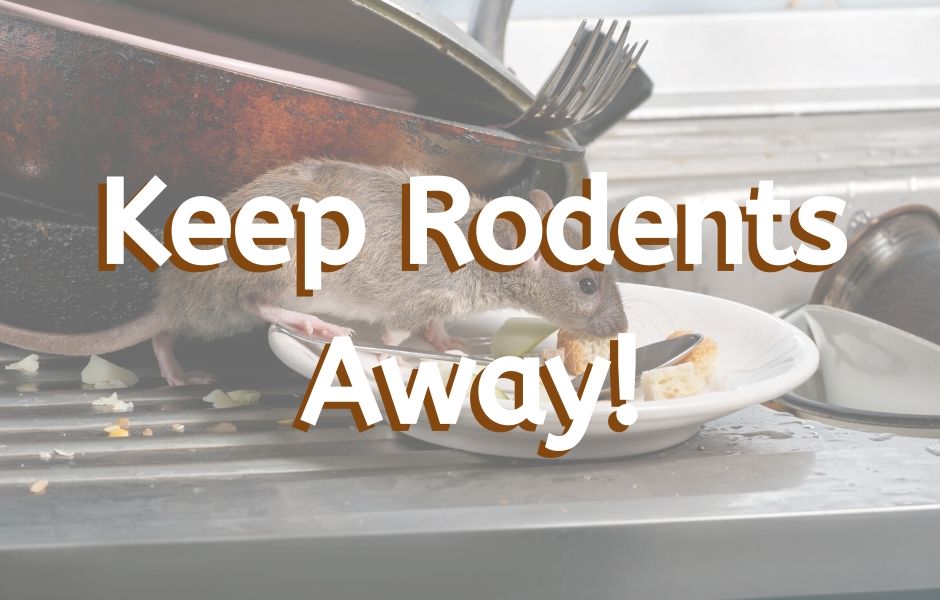 Keep Rodents Away!