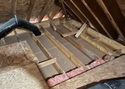 A clean, treated attic is a happy attic!